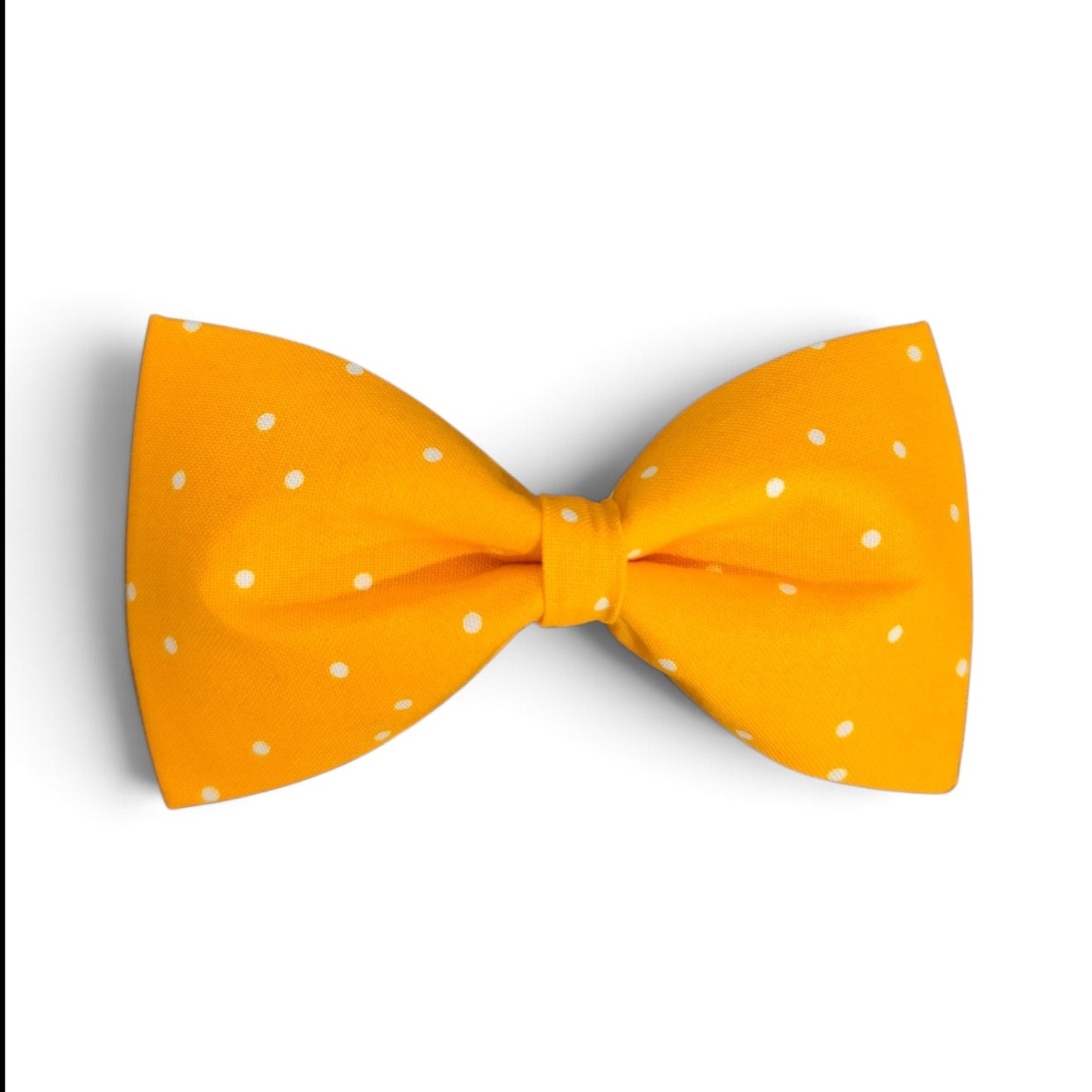 Yellow white Pokadot π